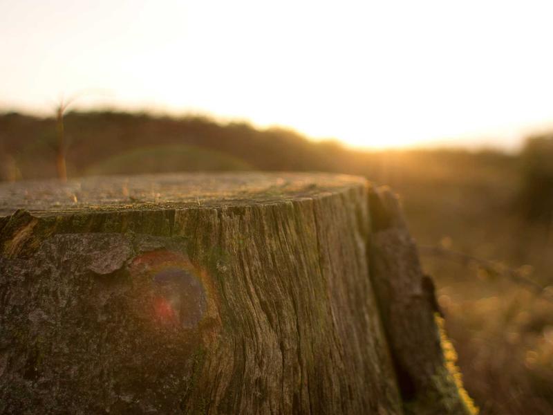 sudoku background music screenshot 2